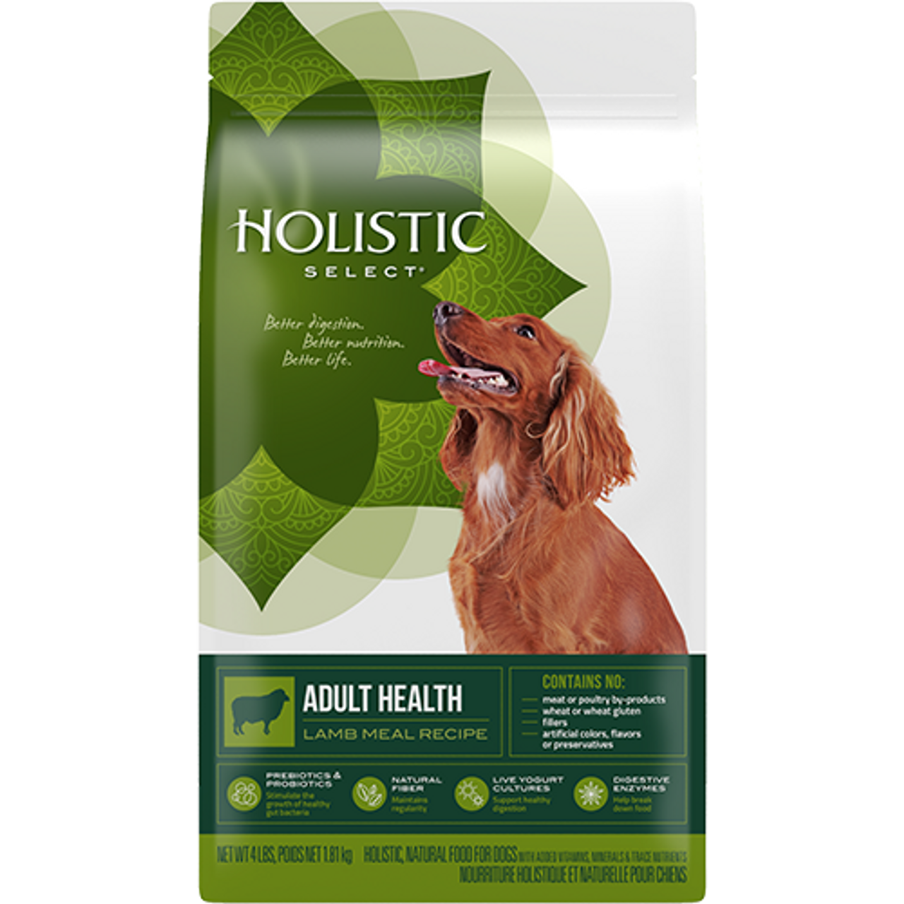 what is holistic dog food