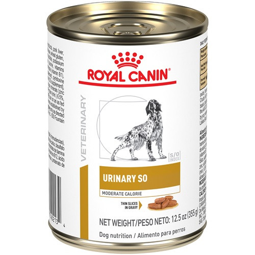 royal canin urinary so cat food