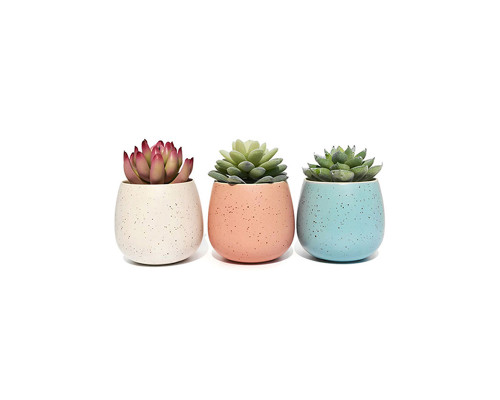 AGAMI Stylish Plant Container Set