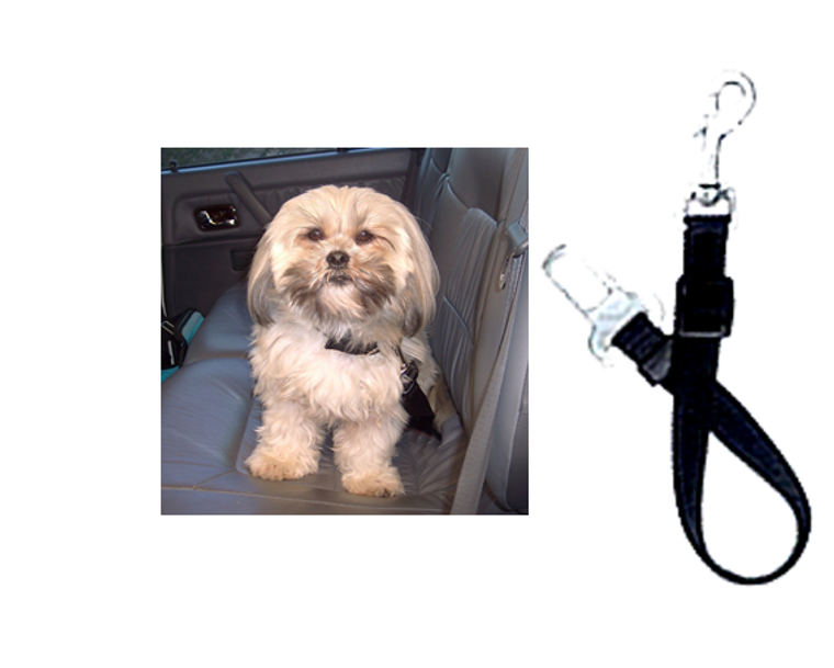 Car Seat Belt Lead - Small