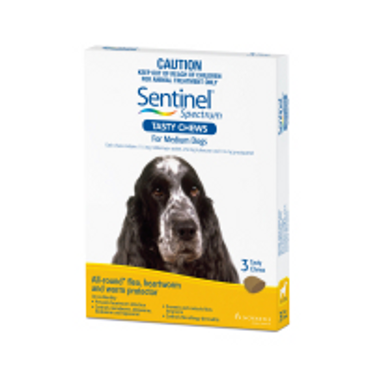 Sentinel Spectrum for Medium Dogs 26-50 lbs (11-22 kgs) - Yellow - 12 Pack