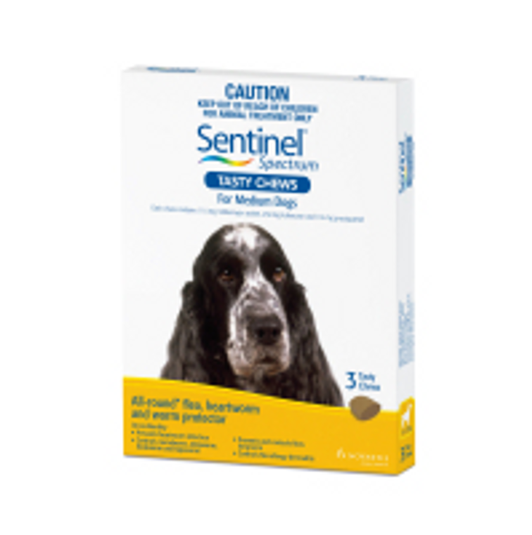 Sentinel Spectrum for Medium Dogs 26-50 lbs (11-22 kgs) - Yellow - 3 Pack