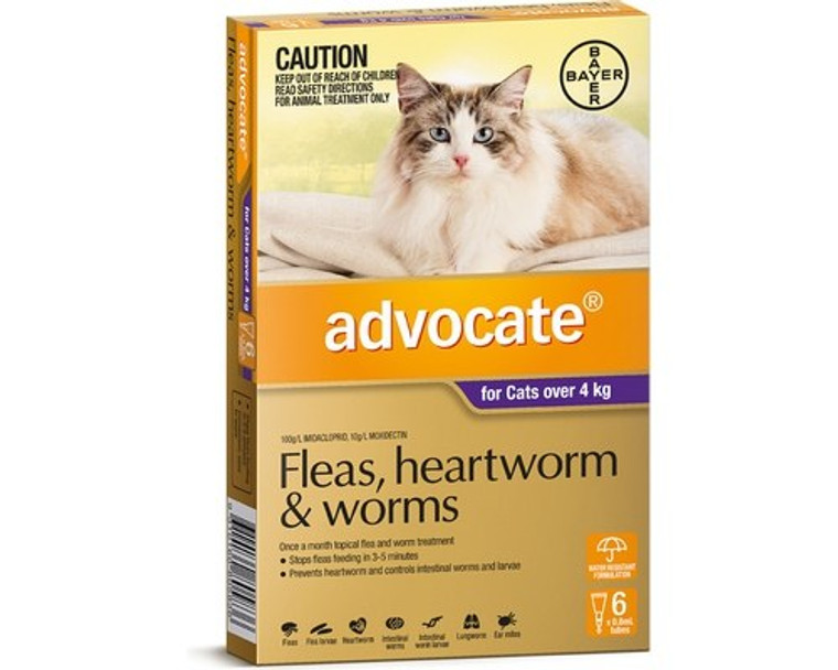 Advocate for Cats Over 4 kgs (over 10 lbs) - 6 Pack - Purple