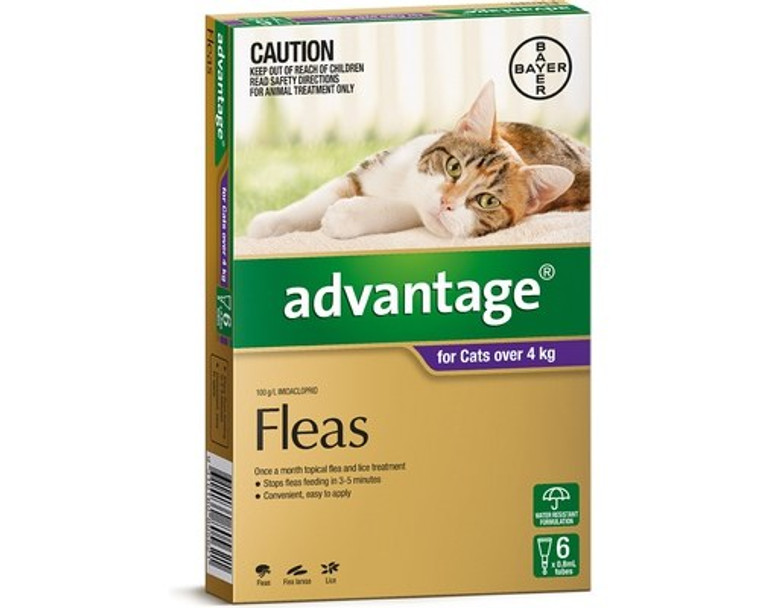Advantage for Cats Over 4 kgs (over 10 lbs) - Purple - 12 Pack 