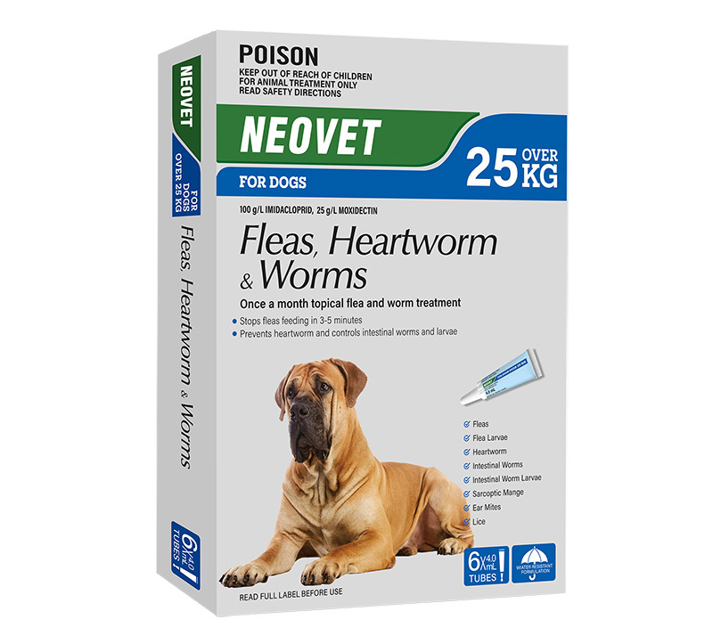 Nexgard spectra 🐶🐶 flea tick remover without leprosy heartworm