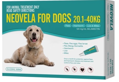 Buy Dogs Flea & Heartworm Control Treatment & Medicine No Prescription  Online