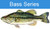Bass Series