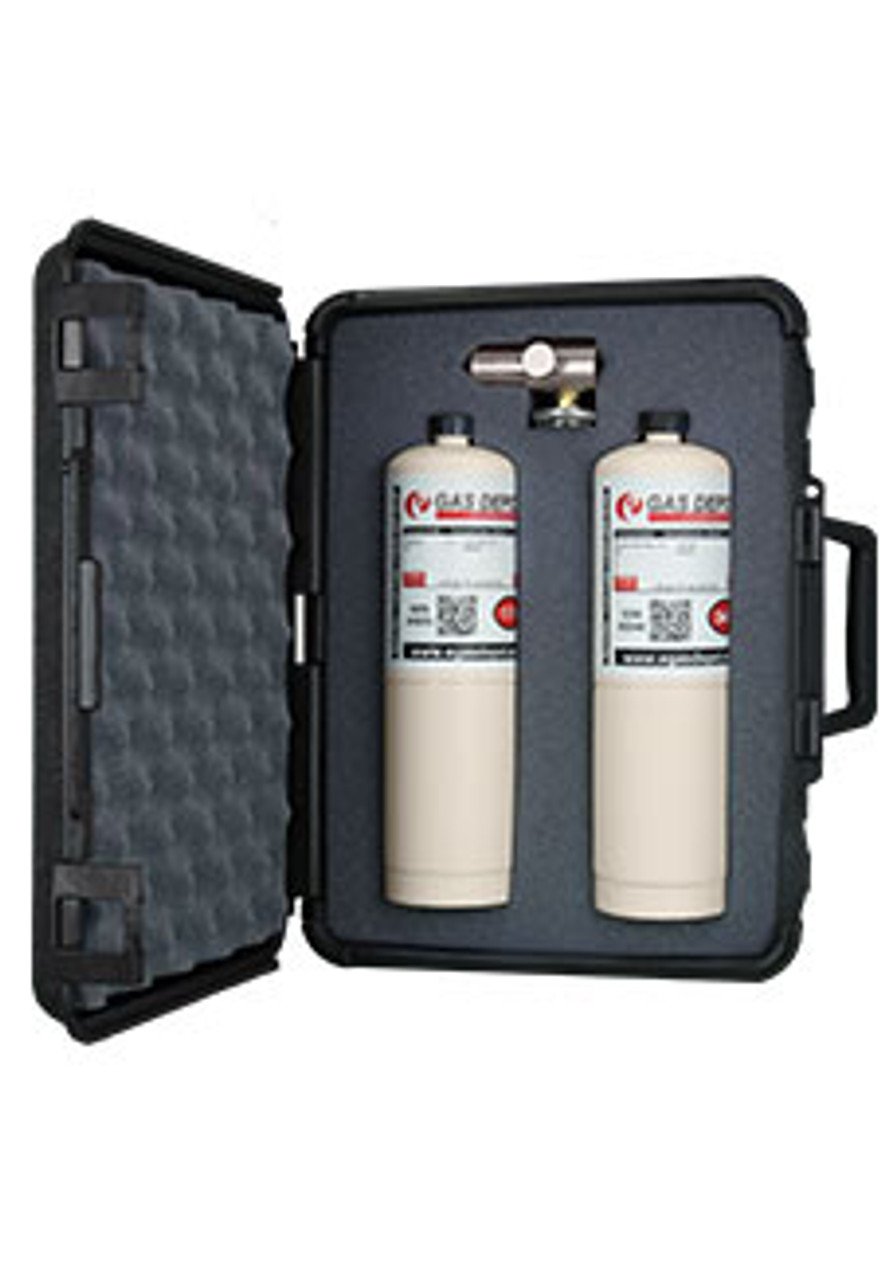 Black case for 2 bottles