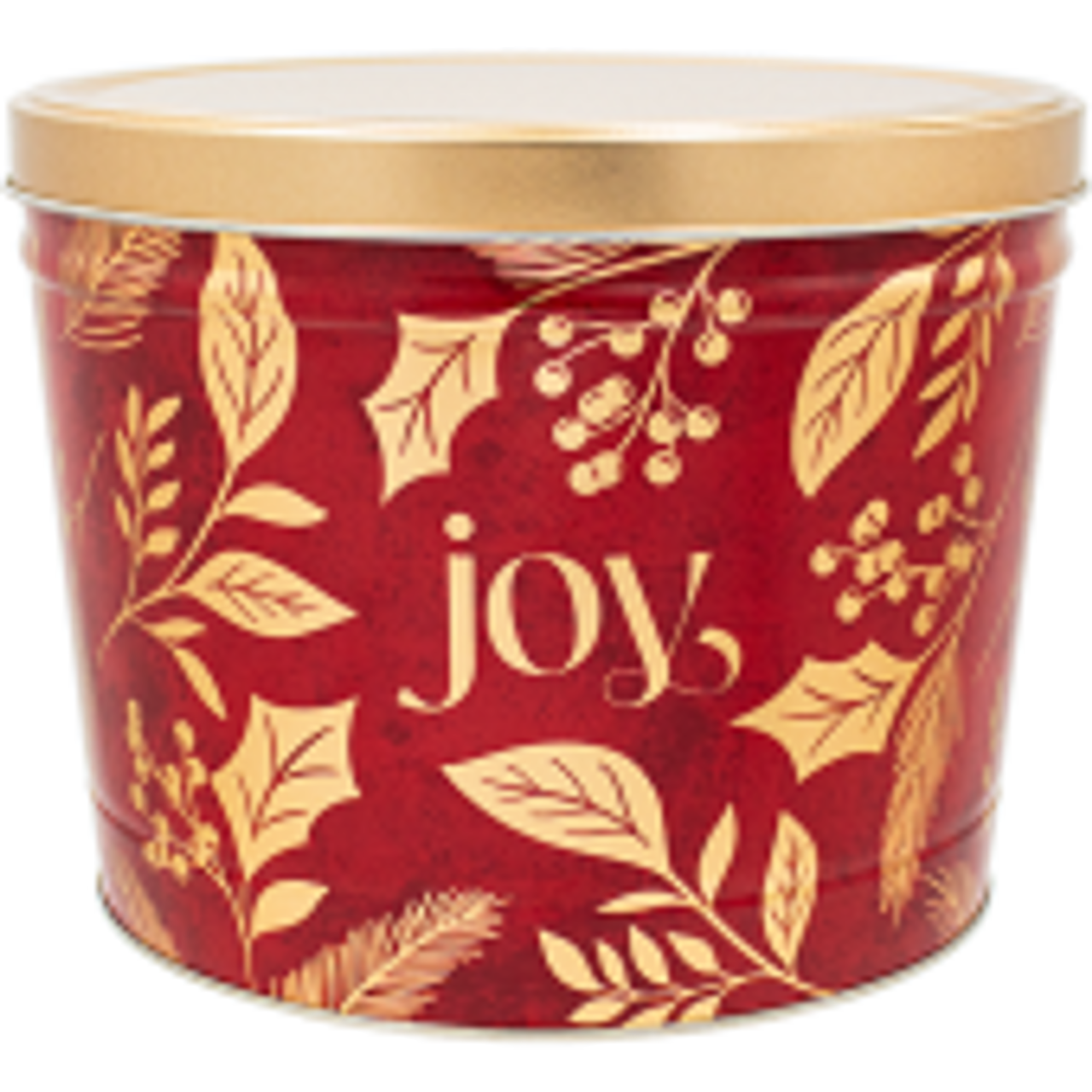 1 Gallon Tins