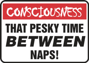 Consciousness That Pesky Time Between Naps! Consciousness That Pesky Time Between Naps!
