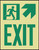 Exit Sign Glow Sign
