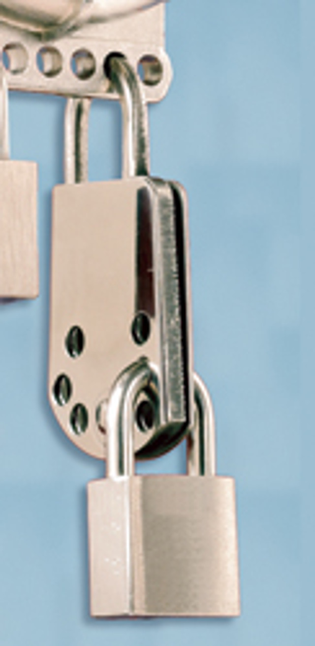 Hinge Loop Hasp