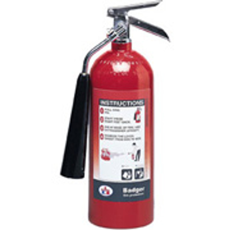 Carbon Dioxide Fire Extinguisher-  Badger 5 lb- with wall hook