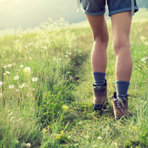 The Best Alpaca Socks for Hiking Season Kickoff