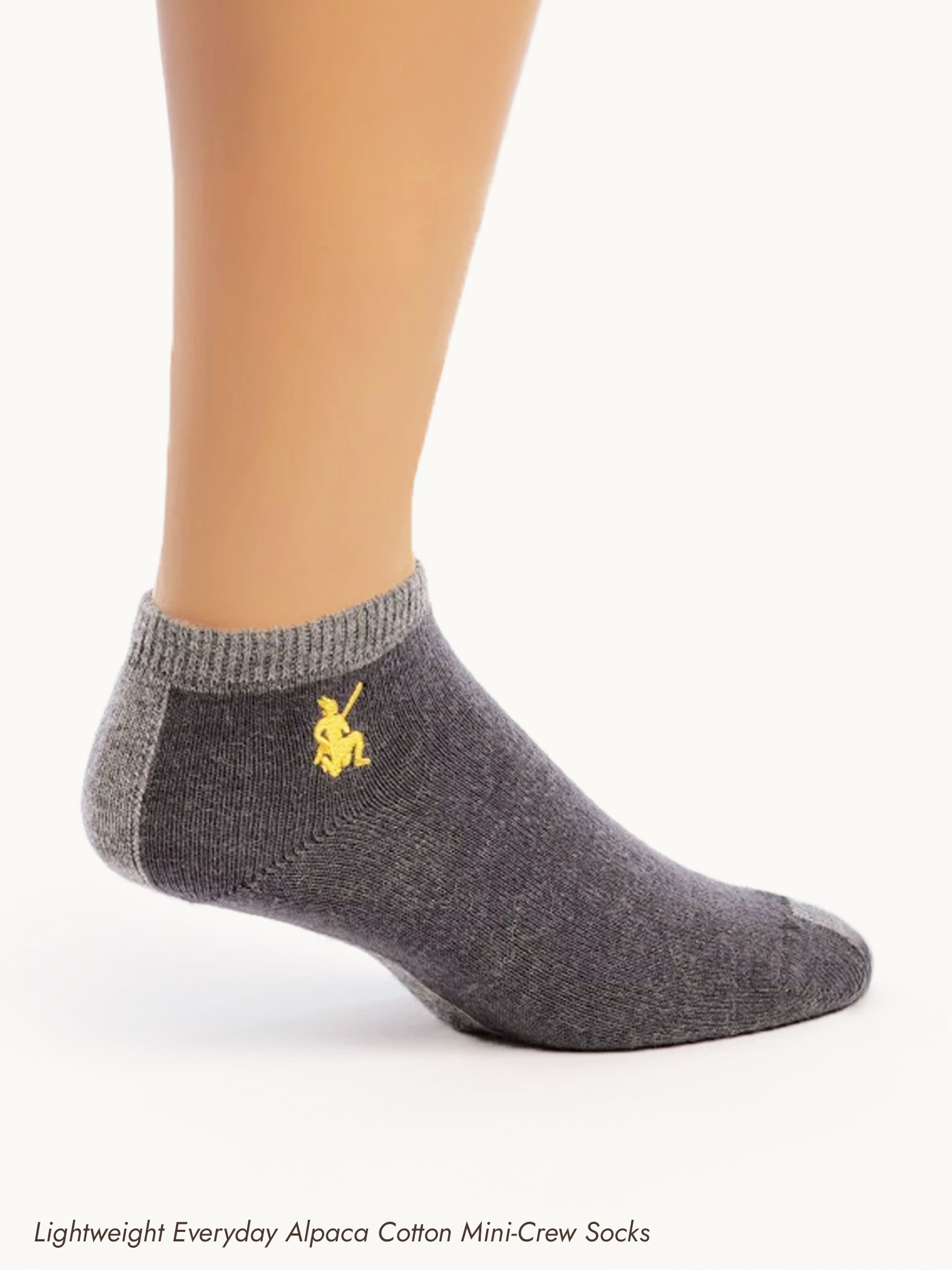 Dad's Alpaca Sock Box - Lightweight Everyday Alpaca Cotton Mini-Crew Socks