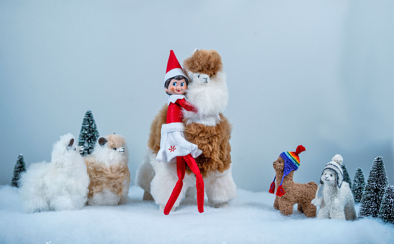 Fluffy Friend Alpaca with Elf on the Shelf winter scene.