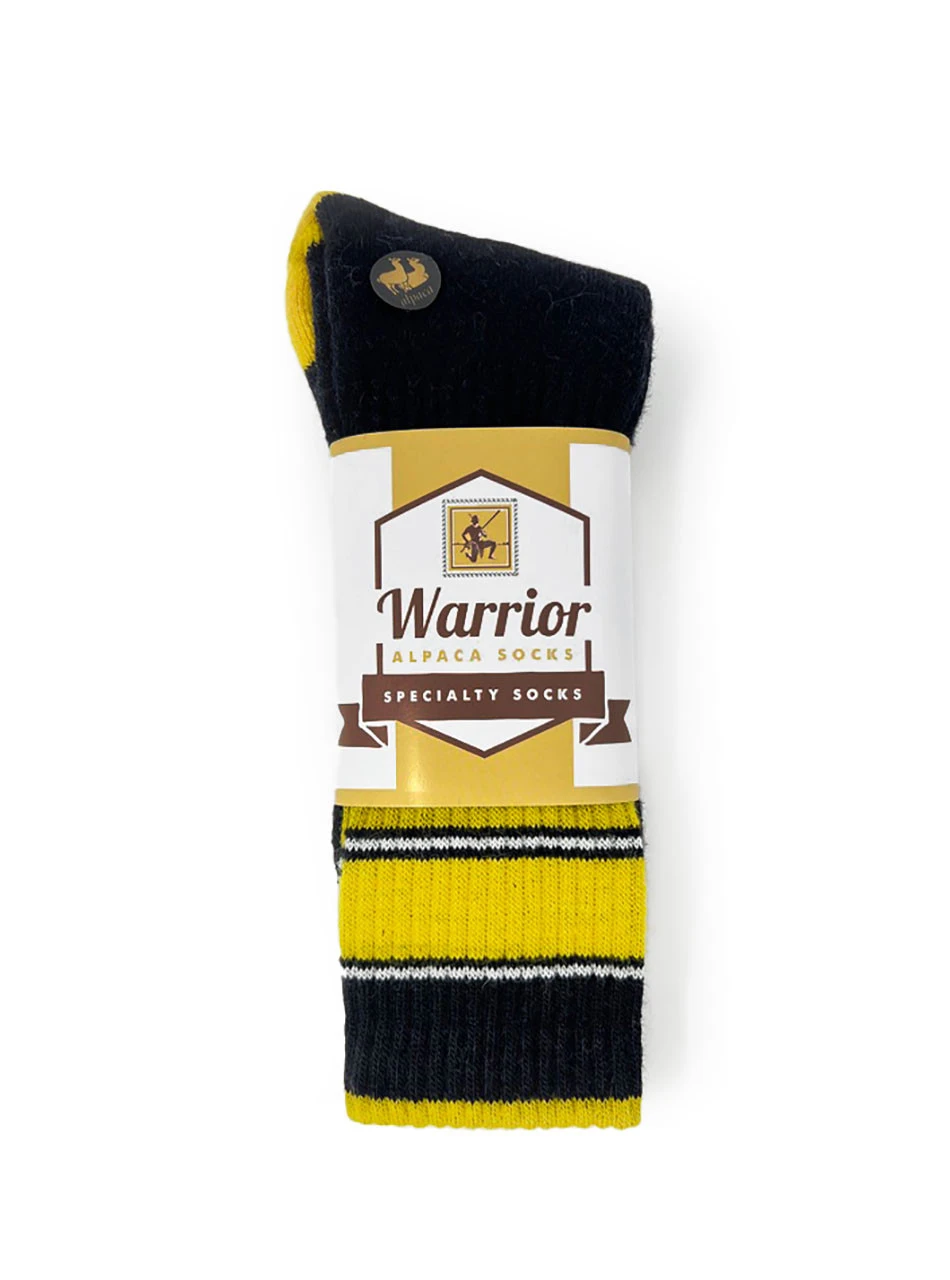 Sports Fan Game Day Socks - package.