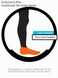 Warrior Alpaca Socks Endurance Max Cushioned Tab Ankle Sox - Comfort Collection Illustration WAT0