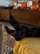 Jack O' Lantern Alpaca Crew Socks on feet.