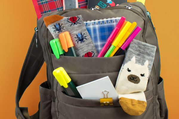 Alpaca Socks for Back to School