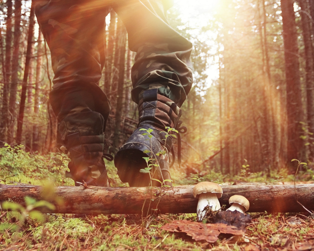 Warmest Alpaca Hunting Socks: A Game-Changer for the Seasoned Hunter