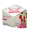 Wyld Raspberry Sativa Delta-9 THC gummies 100mg 10-count pack