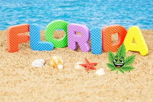 Buy THCA in Florida: Legal Hemp Flower, Gummies & Vapes Shipped to Your Door (2026)