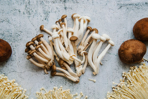 A Guide by Procannabis: The Varieties of Magic Mushrooms