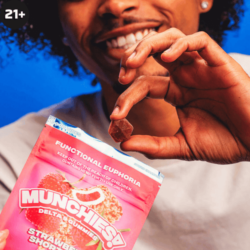 delta munchies 1:1 thc cbd gummies 10mg 10mg