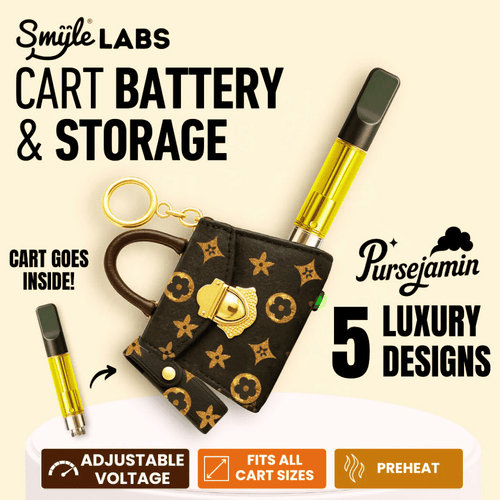 Purse-shaped 510 vape battery with keychain