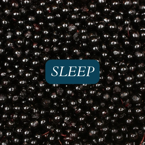 Wyld Hemp Elderberry 10mg THC 5mg CBN Sleep