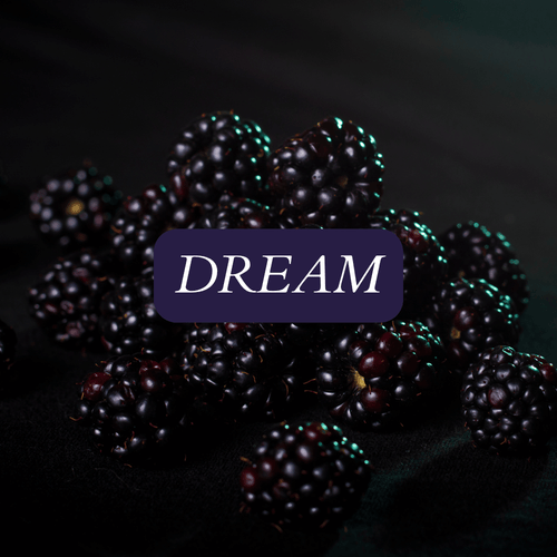 Wyld Hemp Boysenberry Triple Cannabinoid Anxiety Sleep Gummies