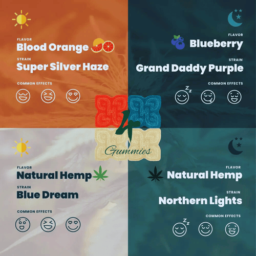 Hometown Hero 25mg live rosin gummies sativa indica strain sampler pack