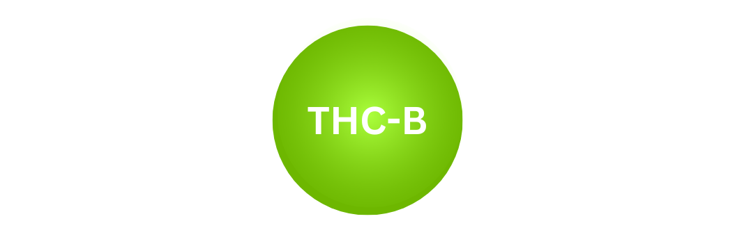 THC-B