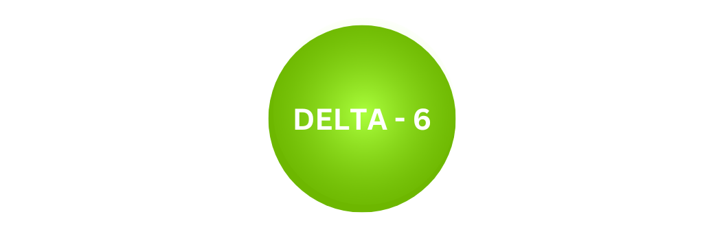 DELTA 6