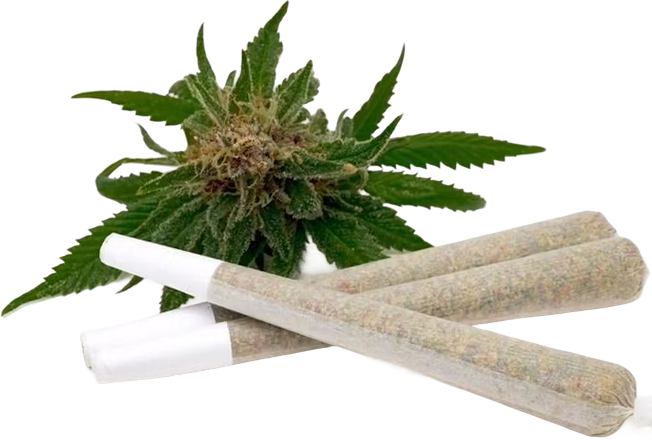 Pre-rolled cannabis