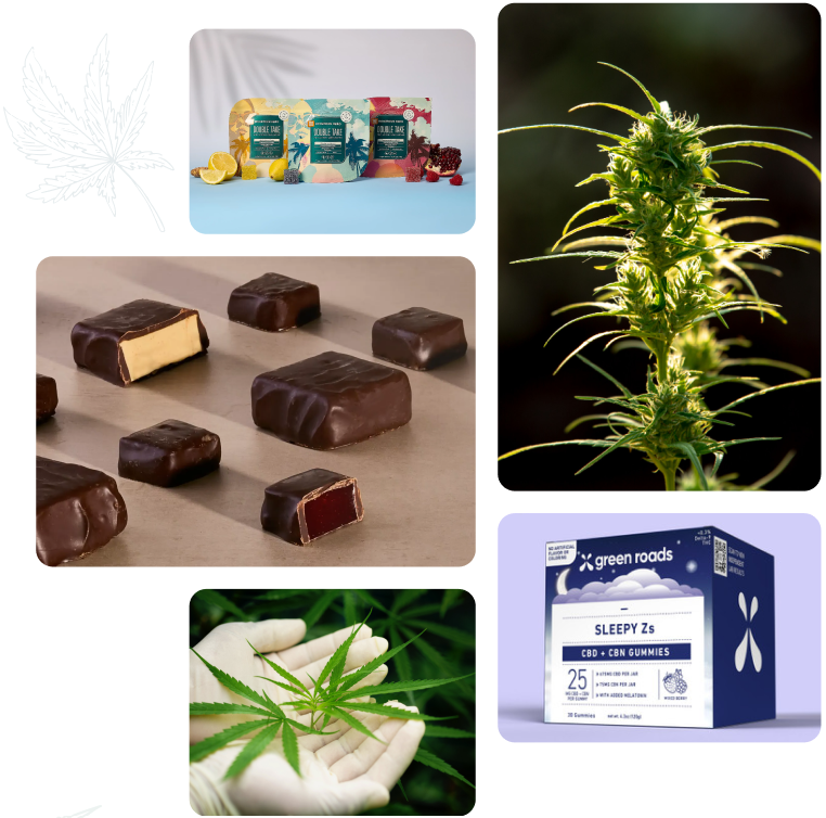 CBD and THC products collection