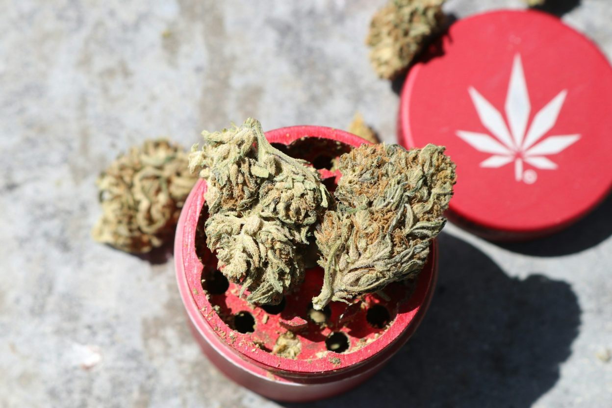 Two cannabis buds in a grinder