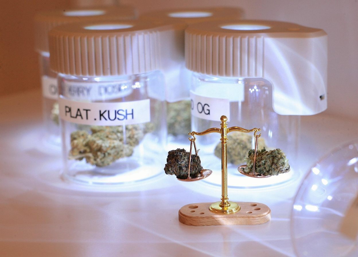 Two cannabis flowers on scales