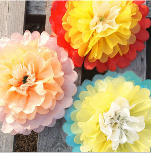 15 Multi Color Tissue Paper Pom Poms - 10 inch