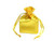 Gold satin bag