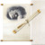 Photo Printing on Scroll Invitation-Set of 25