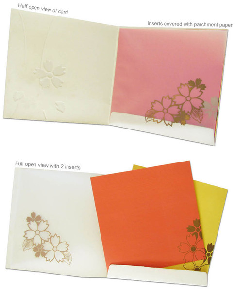 BFI - 04 (Set of 25 cards) 