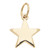 Star Charm