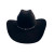 Black Vegan Suede Cowboy Hat