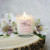 Oriental Lily votive by Skye Candles with background