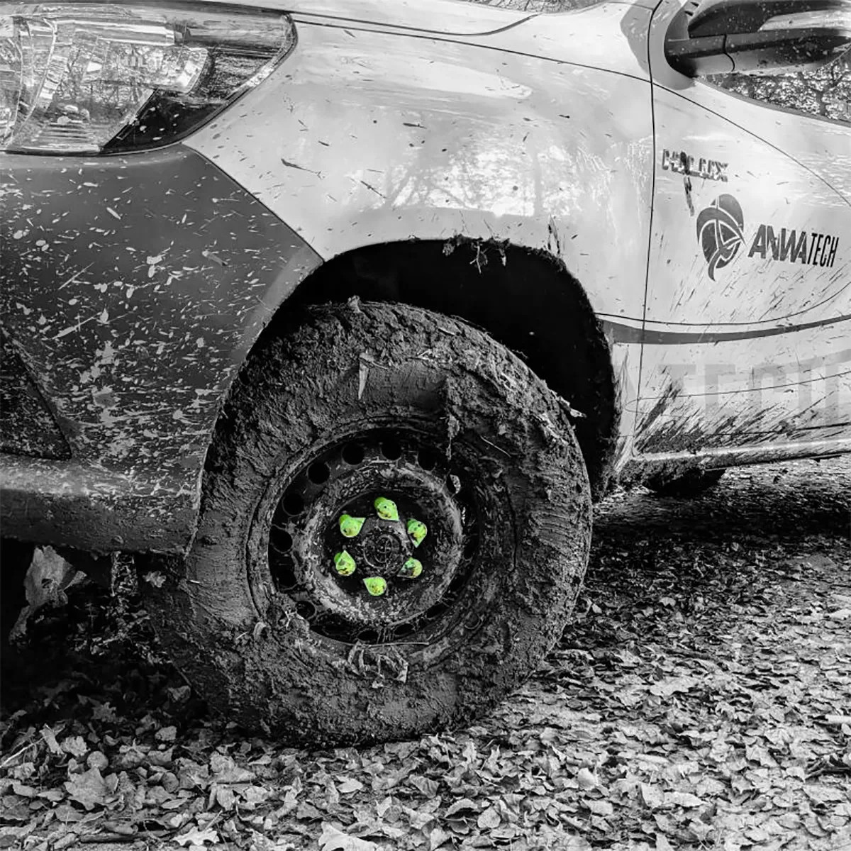 Checkpoint DTLRY21 Dustite Long Reach Wheel nut indicator and dust cap