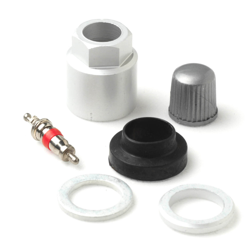 AME TPM20211AK Parts Kit for Misc. Imports Box of 10