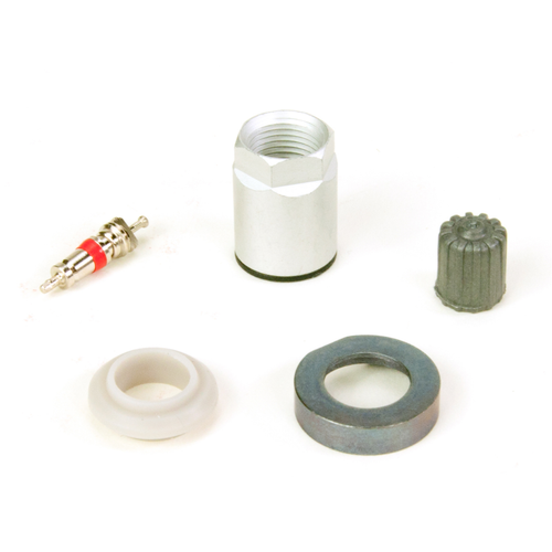 AME TPM20720AK Parts Kit 7020 for Jag Range Rover Volvo (54190) Box of 10