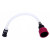 Lisle 17312 Extractor Adapter and Hose